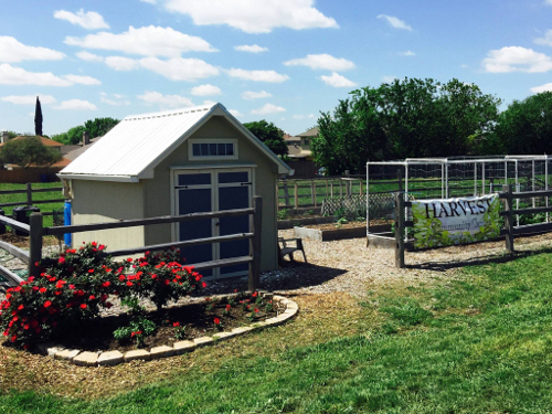 Harvest Community Garden